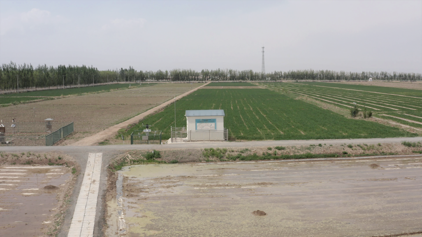 67381����-��Ϸ�ٷ���վ